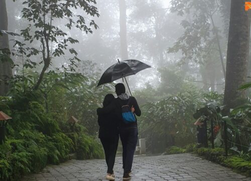 Snowfall in Munnar: Does It Snow in Munnar, Kerala & South India?