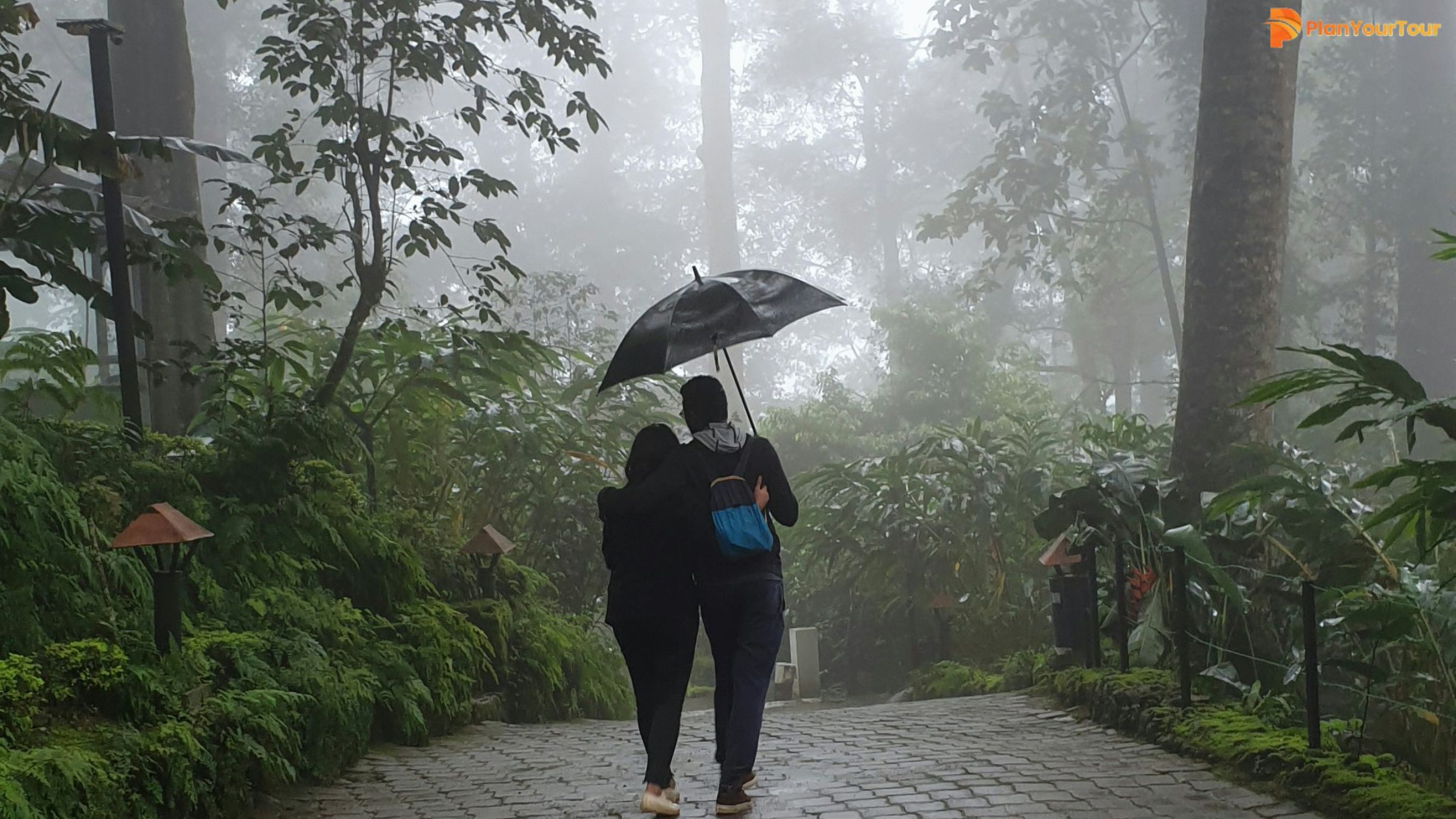 Snowfall in Munnar Does It Snow in Munnar, Kerala & South India
