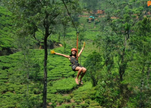 Zipline in Wayanad: Longest & Best Zipline Adventure in Wayanad