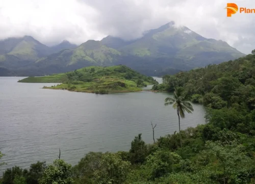 Wayanad One Day Trip: Top Places to Visit in 1 Day