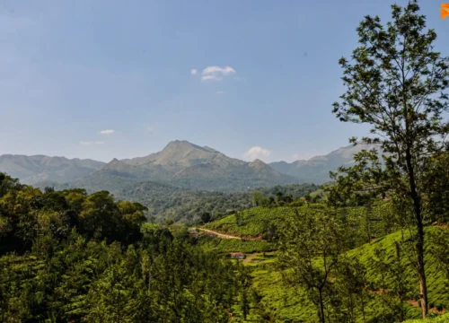 Best Time to Visit Wayanad: Weather, Months & Best Season