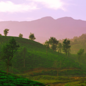Majestic mountain range in the background with a train passing through, illustrating the harmony of nature and rail travel.