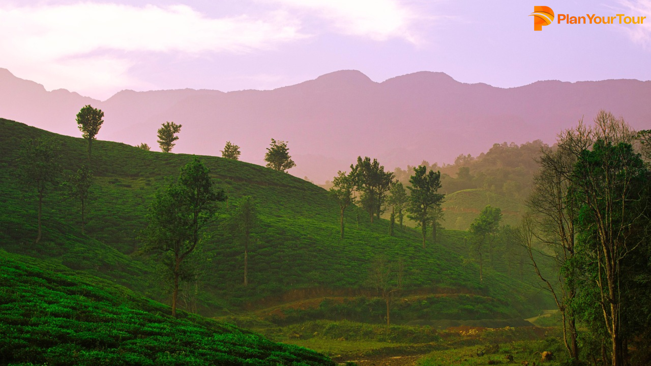 Majestic mountain range in the background with a train passing through, illustrating the harmony of nature and rail travel.