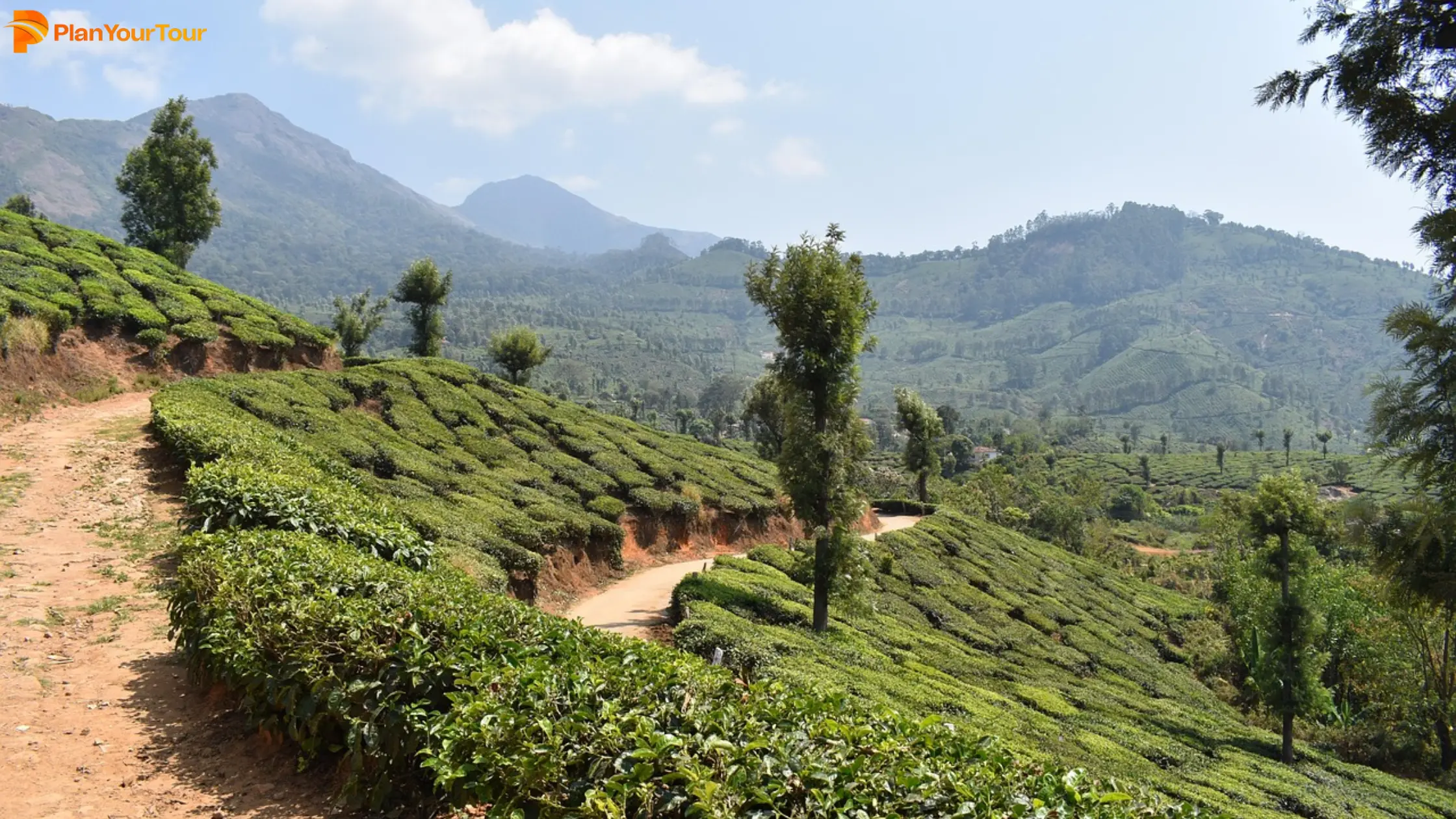 Expansive tea plantations in Munnar, Kerala, characterized by terraced fields and a backdrop of misty mountains.